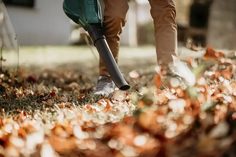 How To Clean a Backyard with Regular Cleaning and Upkeep Strategies Billings MT