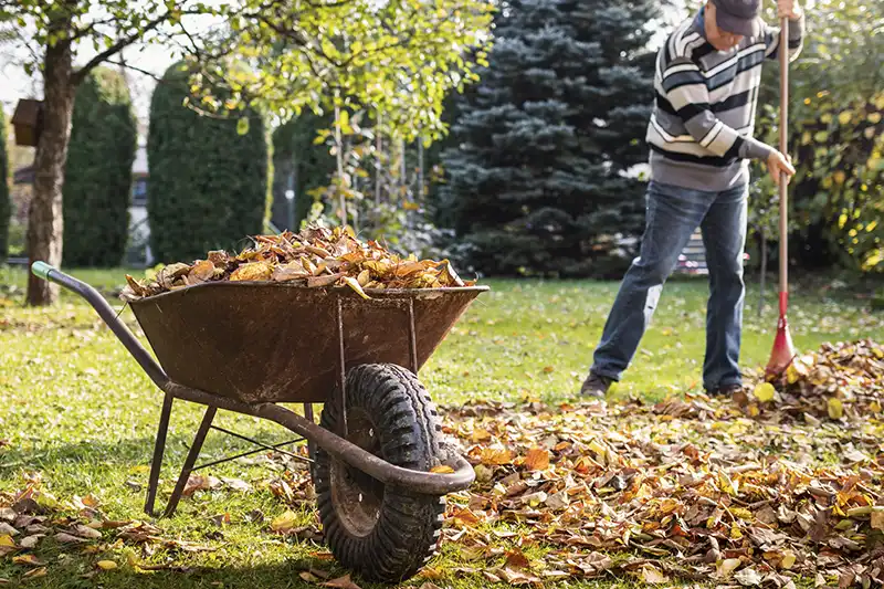 How To Clean a Backyard with Regular Cleaning and Upkeep Strategies in Billings MT