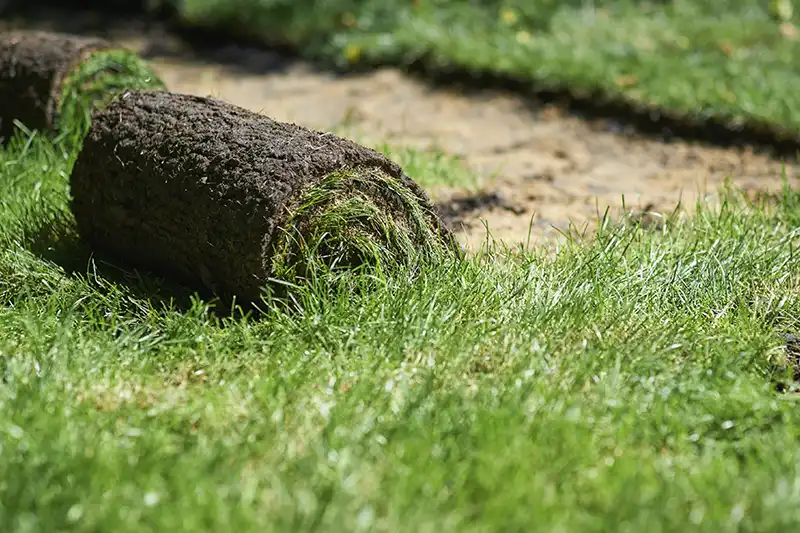 How to Lay Sod Over an Existing Lawn Billings MT