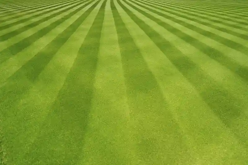 Lawn Mowing