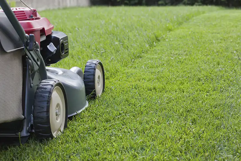 Lawn Mowing for Billings MT