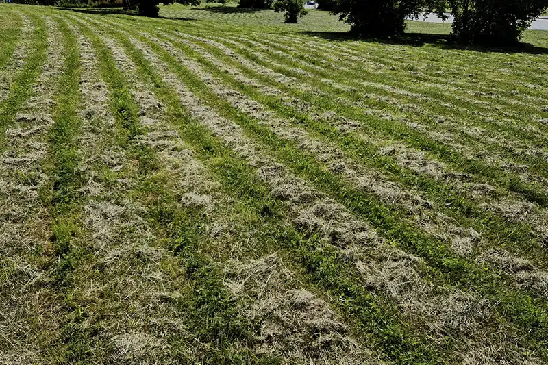 Mulching in Billings MT