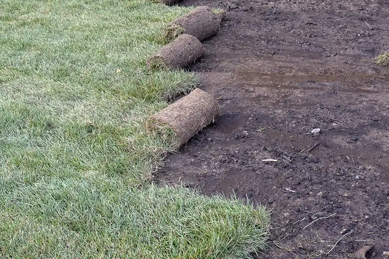 Sod Installation in Billings MT