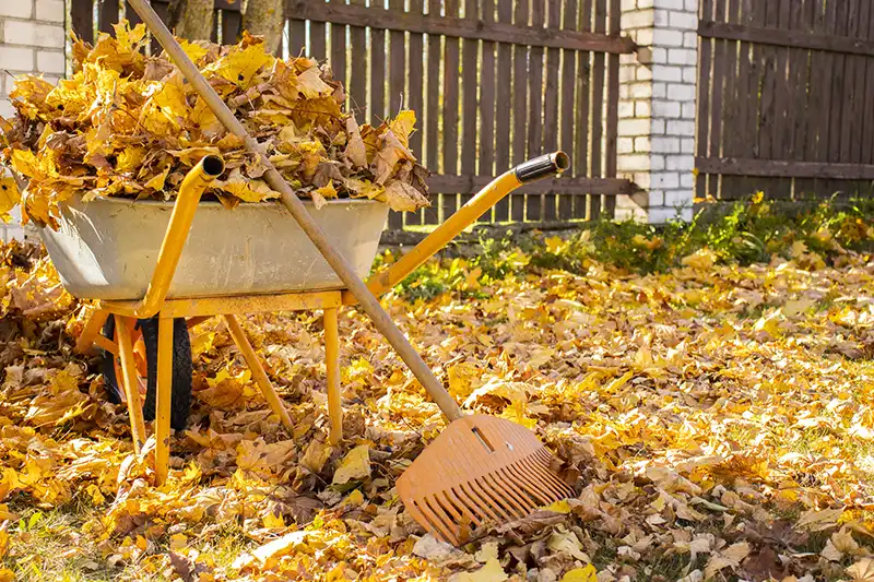 Yard Cleanup Billings MT